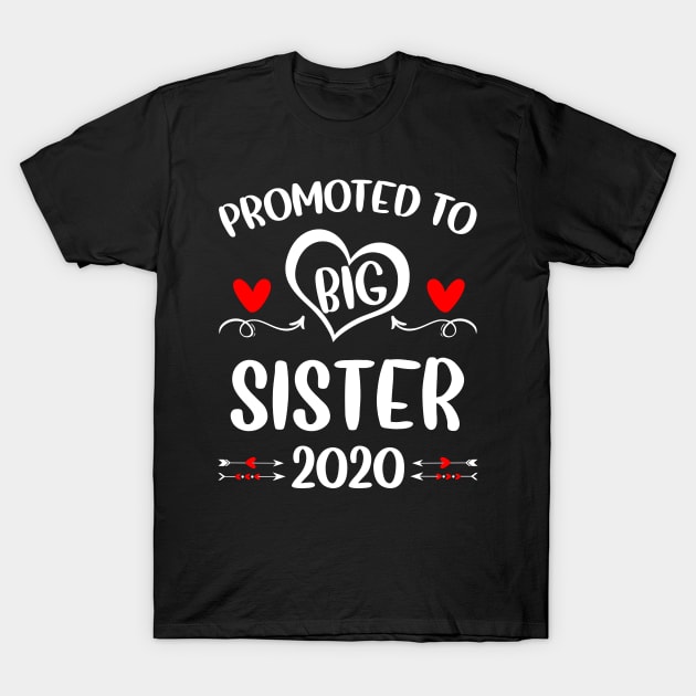 Promoted to Big Sister 2020 T-Shirt by DARSHIRTS